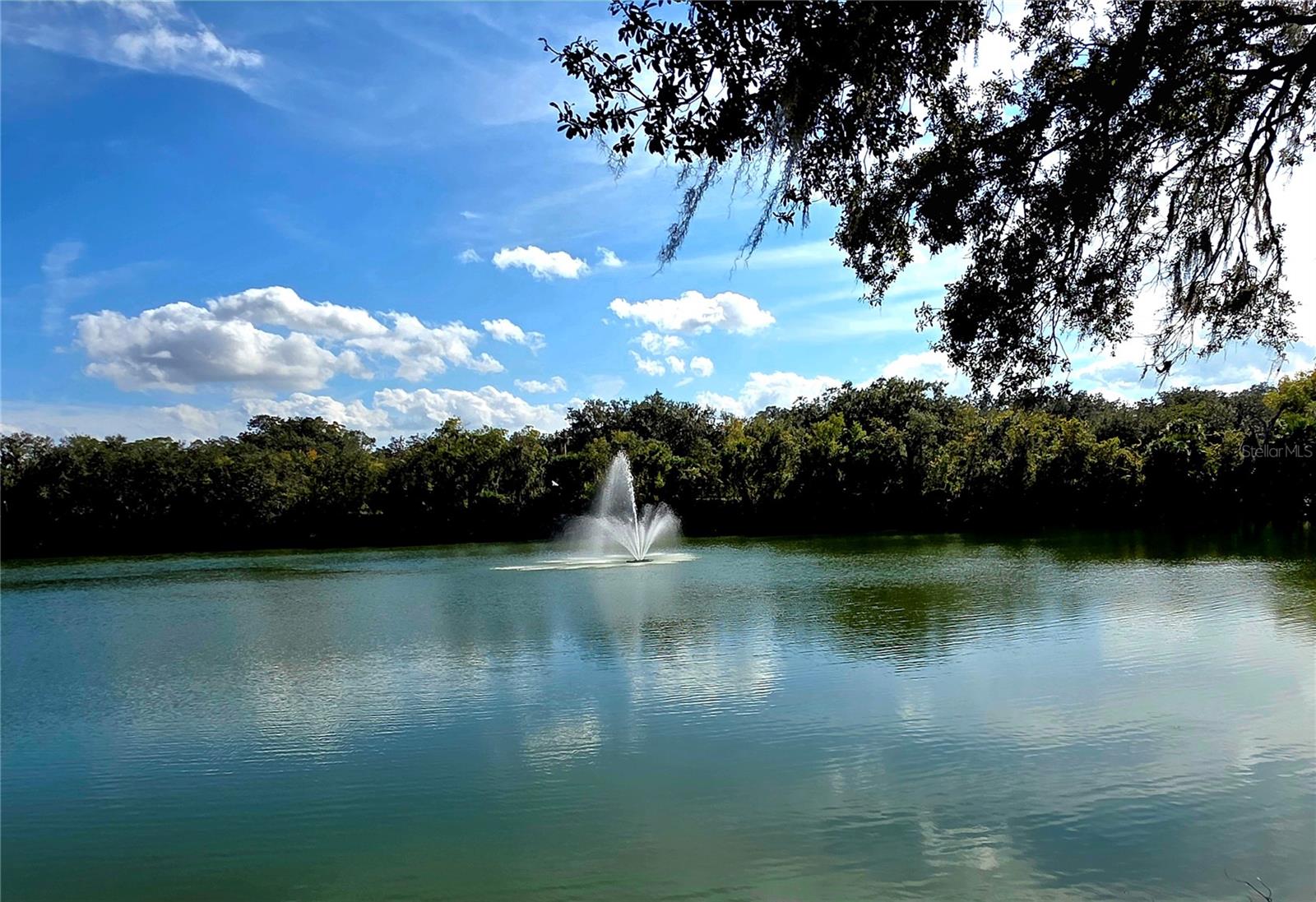 WATER OAK - Residential