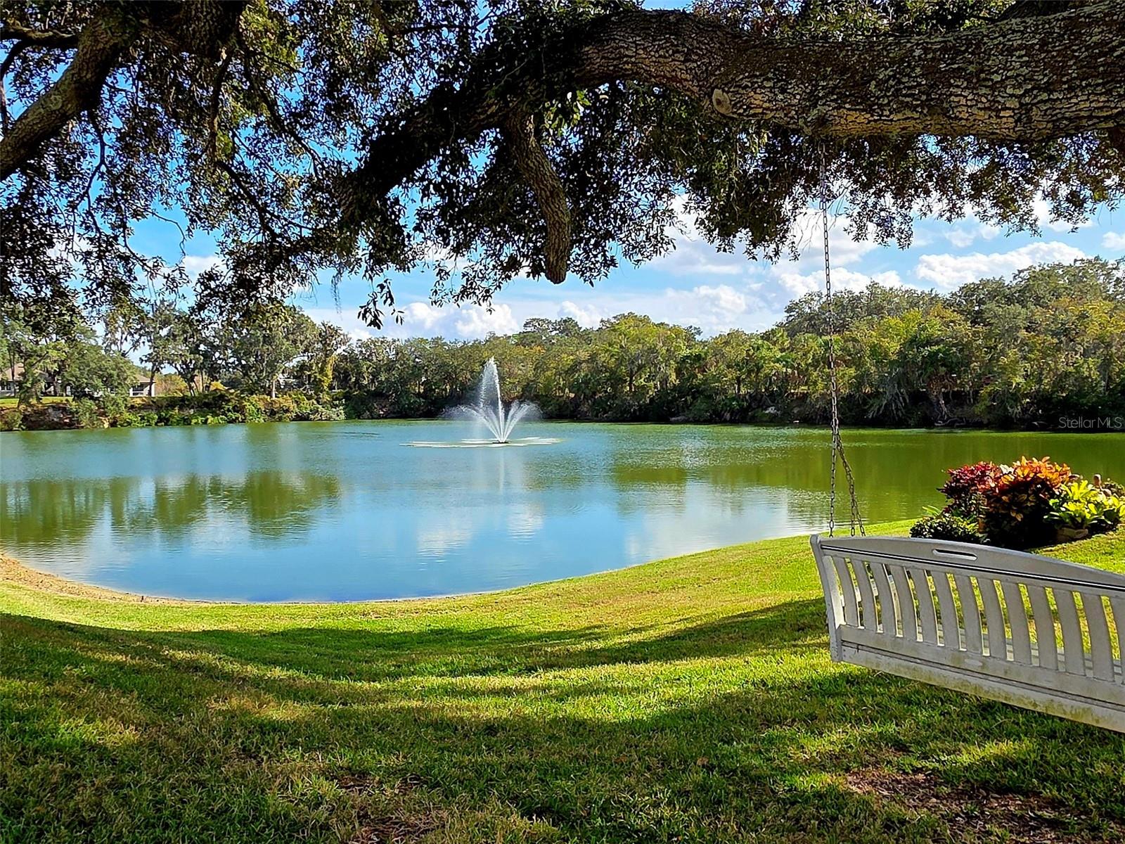 WATER OAK - Residential