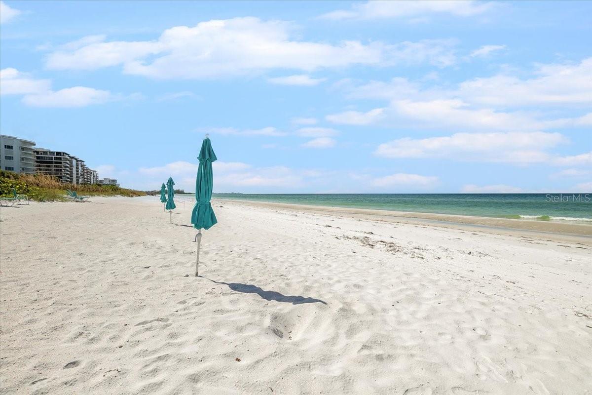 SANCTUARY IV - Residential Lease