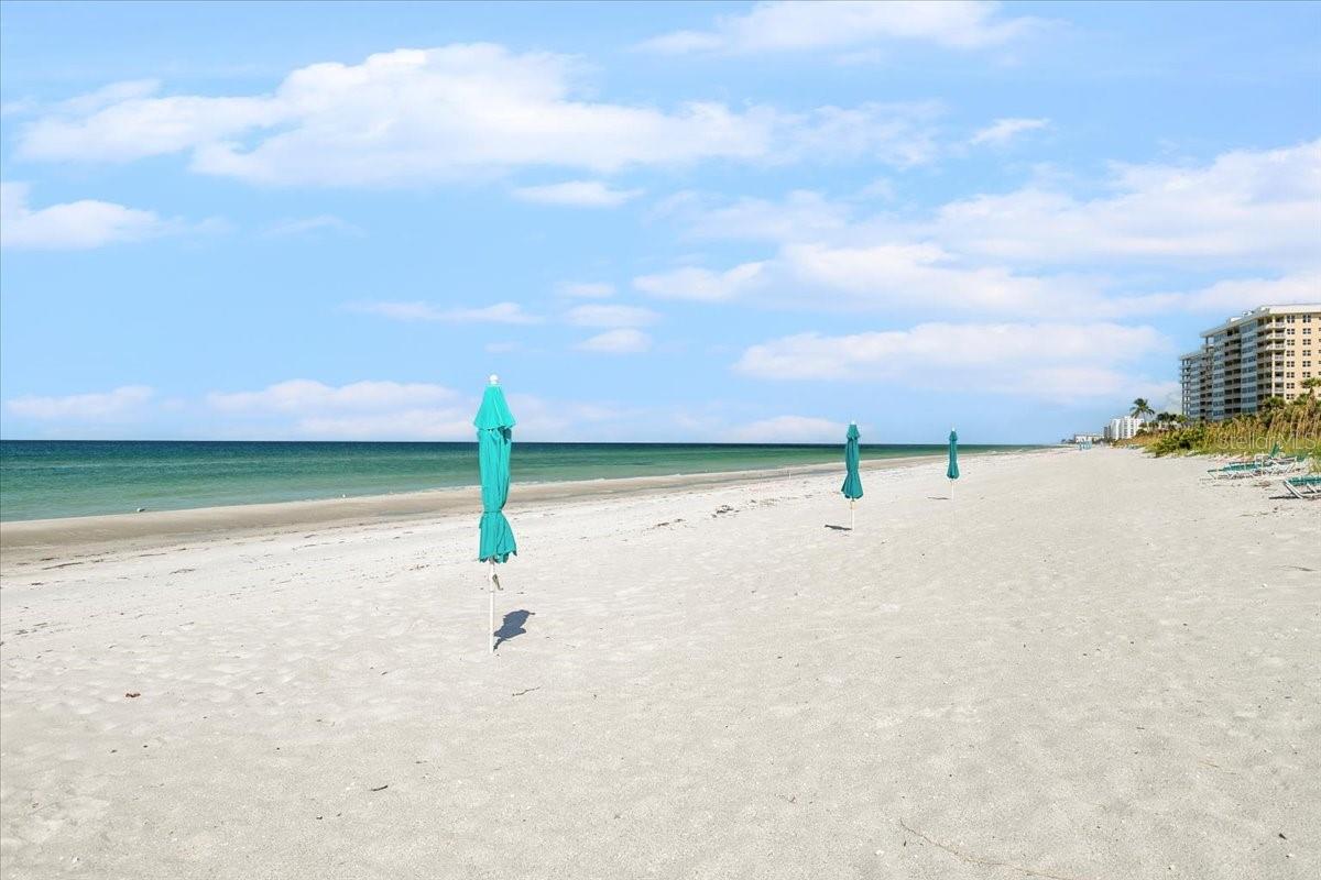 SANCTUARY IV - Residential Lease