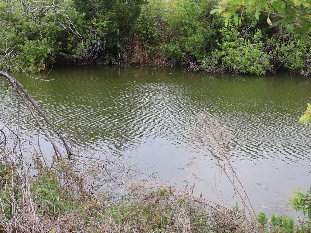 Photo of 1321 SW 21st Avenue, Cape Coral, FL 33991 (MLS # A4674592)