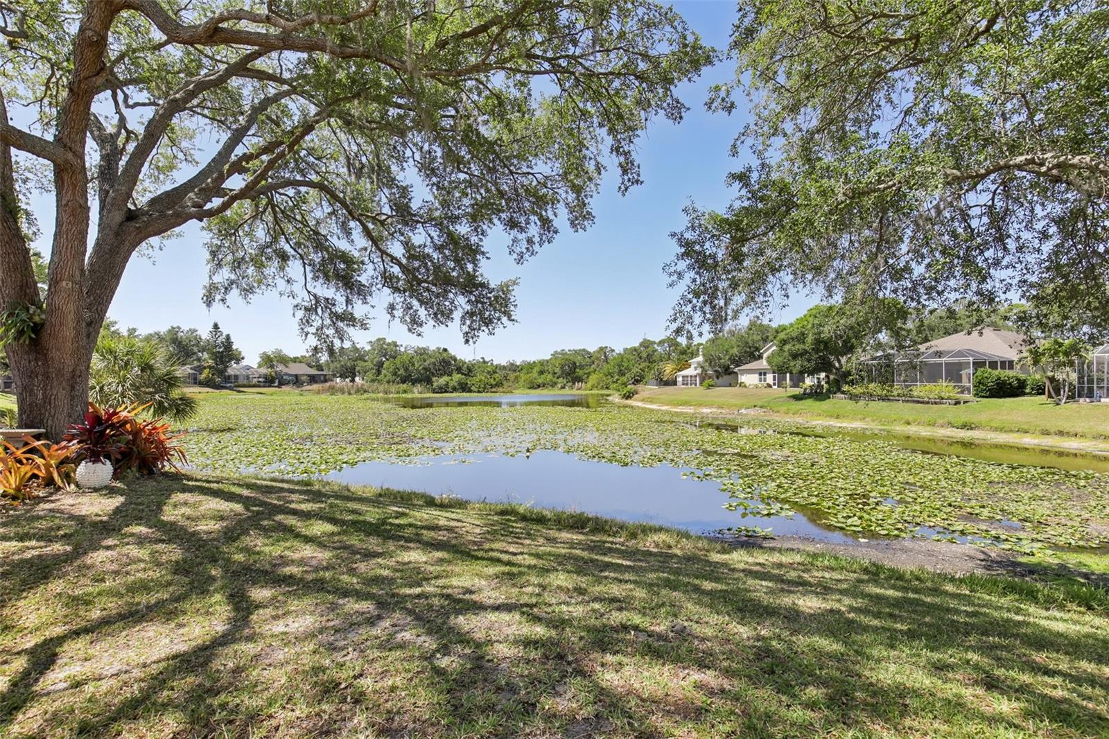THE OAKS AT WOODLAND PARK PH 1 - Residential