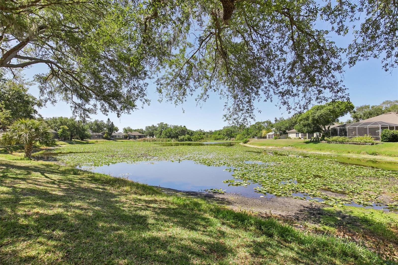 THE OAKS AT WOODLAND PARK PH 1 - Residential