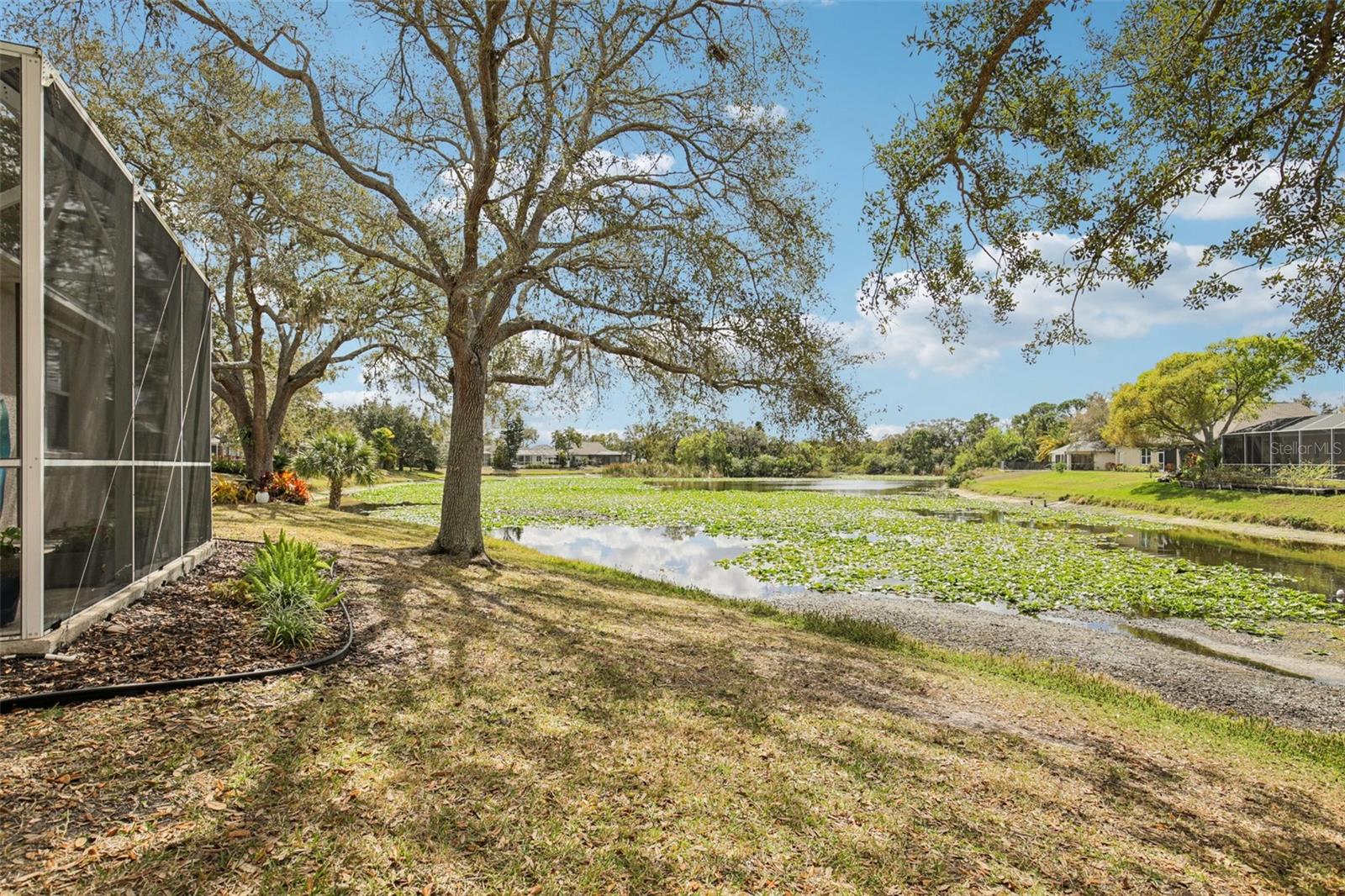 THE OAKS AT WOODLAND PARK PH 1 - Residential