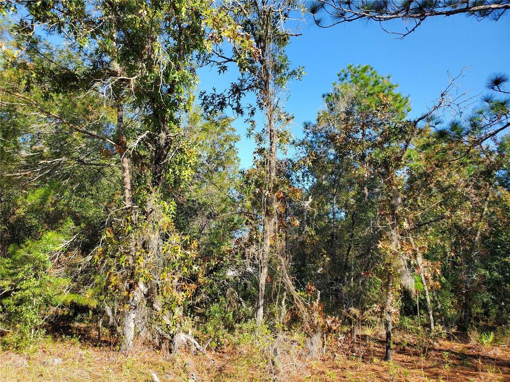 Photo of Tbd SW 132nd Place, Ocala, FL 34473 (MLS # OM713317)