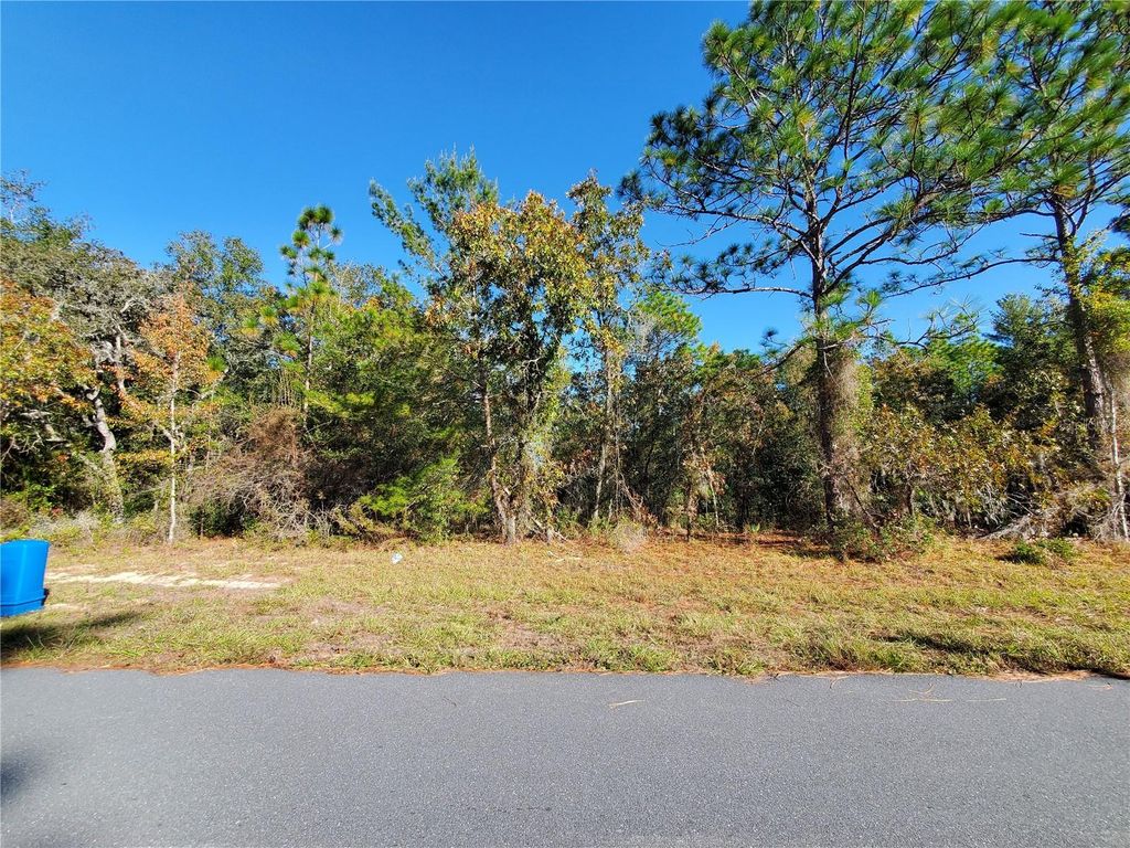 Photo of Tbd SW 132nd Place, Ocala, FL 34473 (MLS # OM713317)
