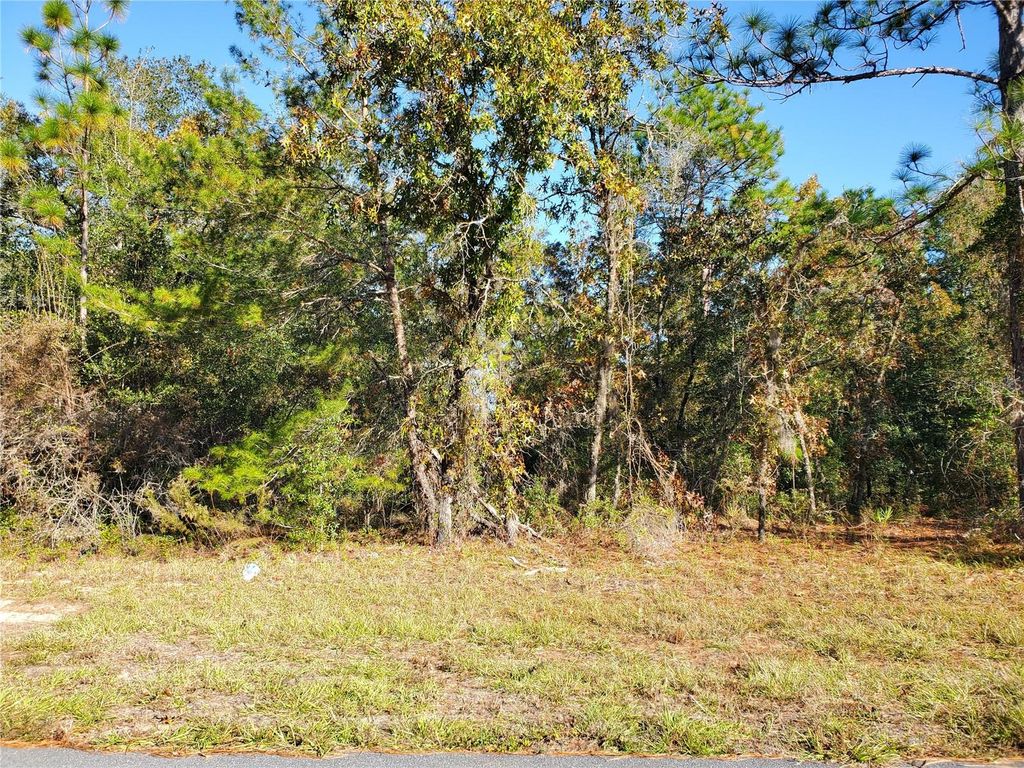 Photo of Tbd SW 132nd Place, Ocala, FL 34473 (MLS # OM713317)