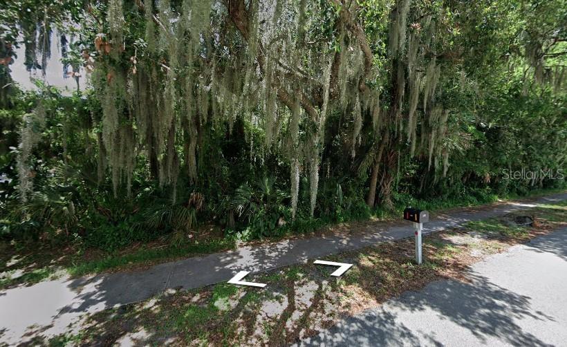 Florida Shores 01 - Land