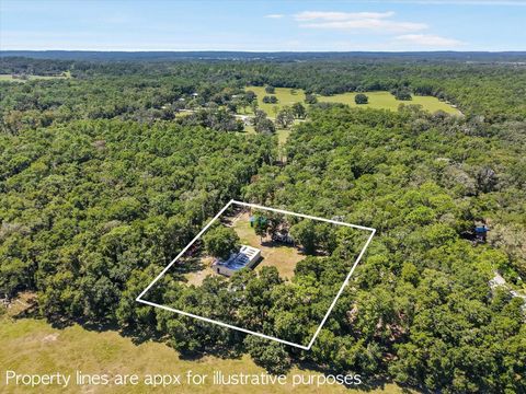 Photo of 9124 Sikes Cow Pen Road, Brooksville, FL 34601 (MLS # TB8428889)