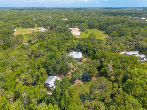 A home in NEW SMYRNA BEACH