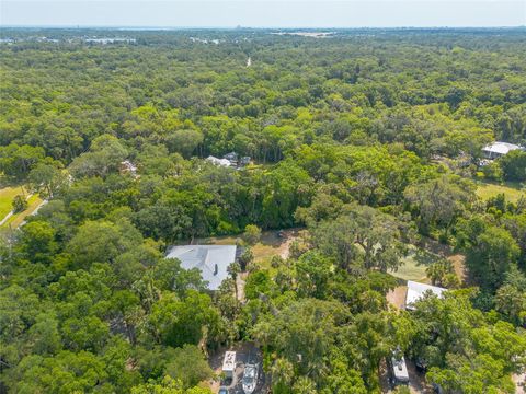 A home in NEW SMYRNA BEACH