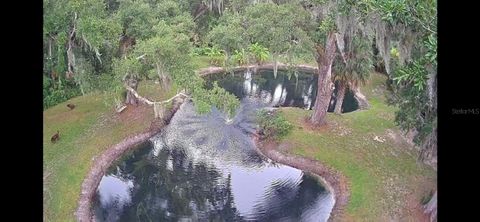 A home in NEW SMYRNA BEACH