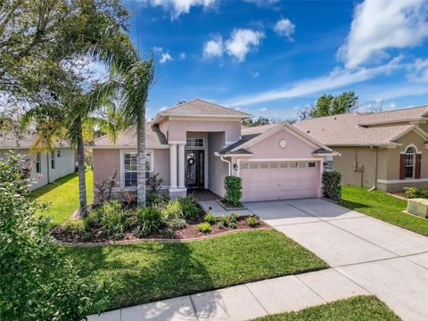Photo of 20352 Falling Rock Drive, Land O Lakes, FL 34638 (MLS # TB8363146) Photo of 20352 Falling Rock Drive, Land O Lakes, FL 34638 (MLS # TB8363146)