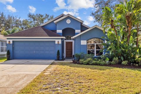 A home in TAMPA