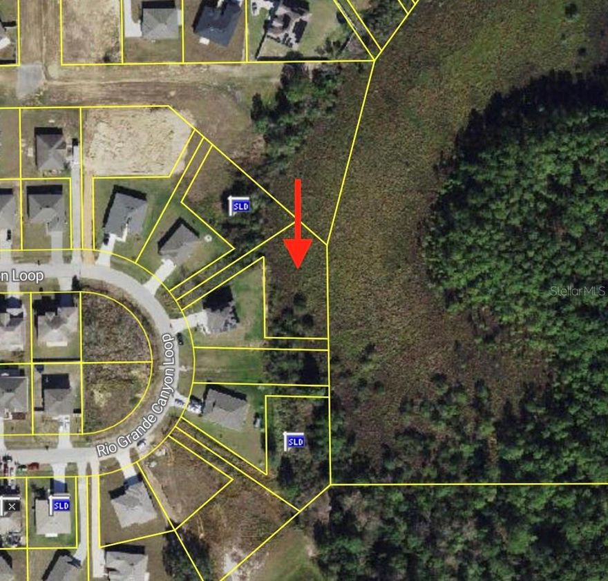 Attention investors, builders, and future homeowners! This oversized 15,734 sq ft (1,462 sq m) flag lot at 2159 Rio Grande Canyon Loop in Poinciana offers exceptional privacy, flexibility, and long-term potential. The seller is offering attractive owner financing with 20–30% down, up to 72 monthly payments, and a 10% interest rate. This premium flag lot is ideal for building your dream home or adding a high-value property to your investment portfolio. Located in the growing community of Poinciana Villages, residents enjoy access to outstanding amenities, including two community centers, a full fitness center with basketball court, gym, and aquatic center, resort-style pool, playgrounds, picnic areas, dog park, racquetball courts, sports courts and fields, and multiple walking trails. This fast-growing area continues to expand with new homes, businesses, and infrastructure, making it a prime opportunity for both builders and investors. Don’t miss this chance to secure a private oversized lot with flexible financing in one of Central Florida’s fastest-developing communities.