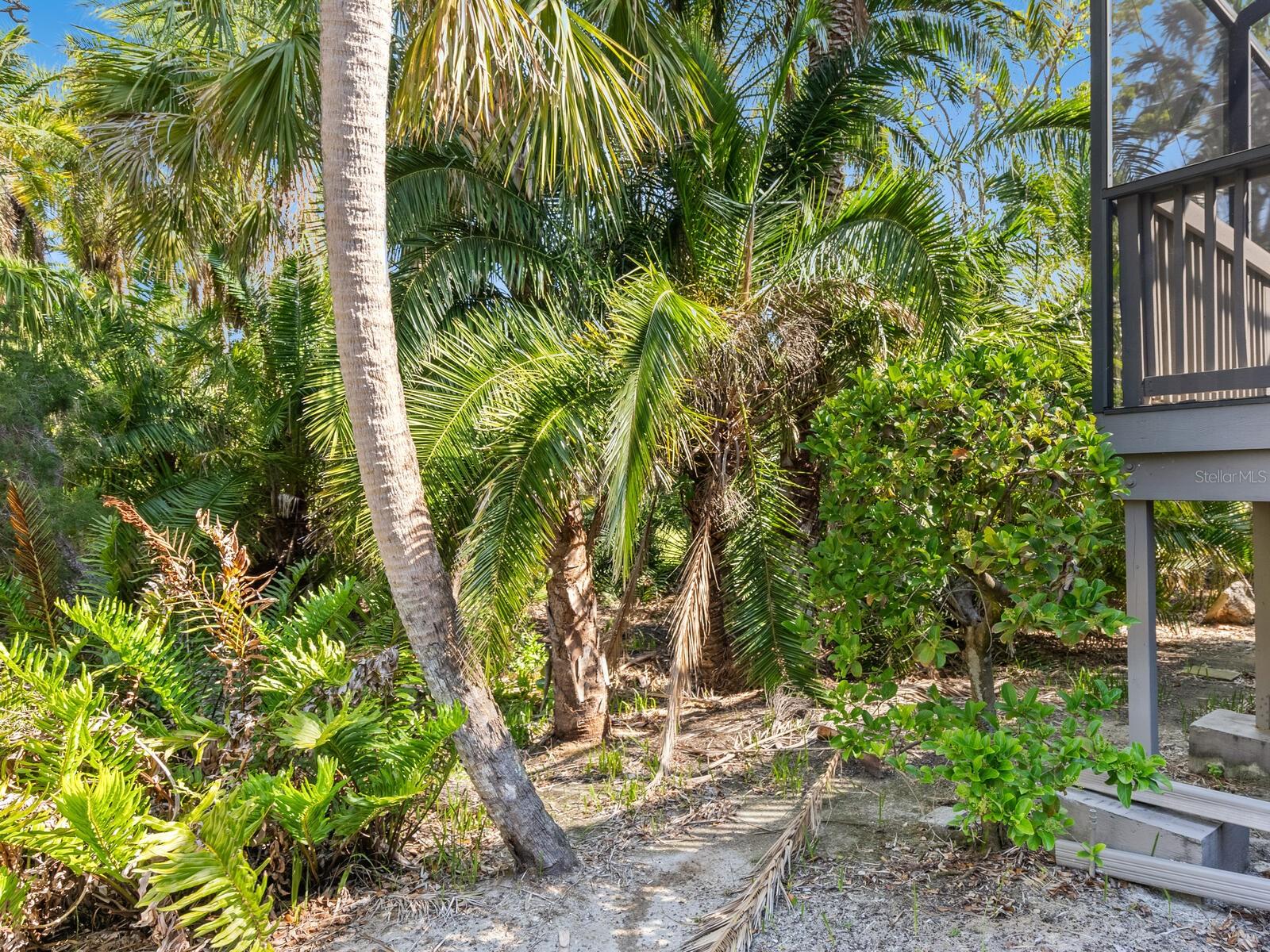 LANDINGS TREEHOUSE - Residential