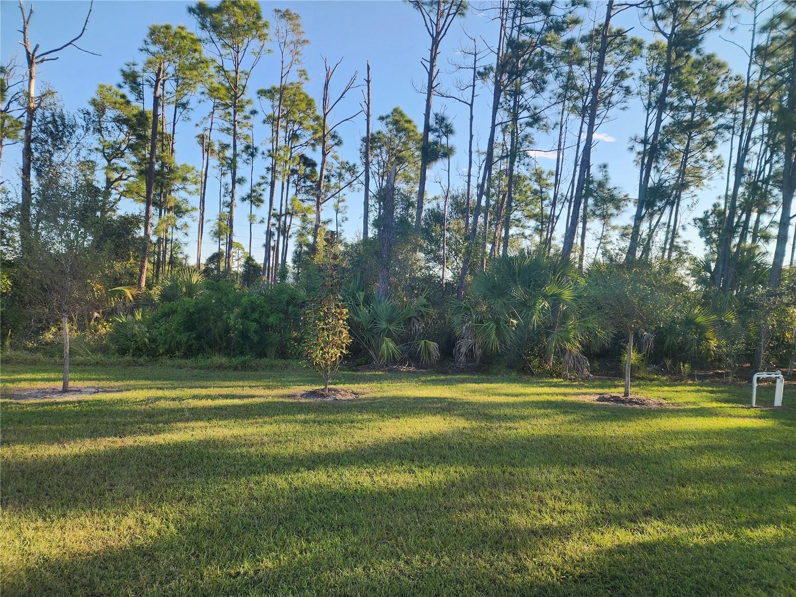 PORT CHARLOTTE SUBDIVISION - Residential Lease