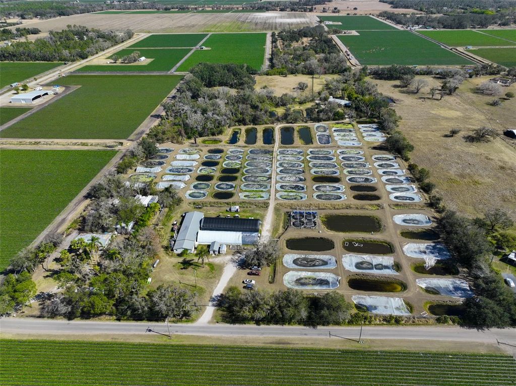 Photo of 20112 Hobbs Road, Wimauma, FL 33598 (MLS # TB8474546)