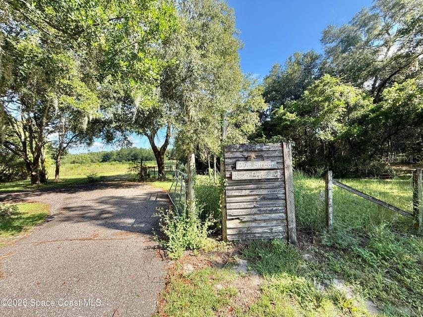 Photo of 572 N Pine Street, Pierson, FL 32180 (MLS # O6442382)