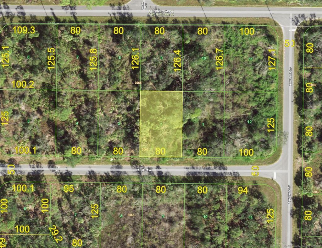 Photo of 15096 Amity Avenue, Port Charlotte, FL 33953 (MLS # D6147263)