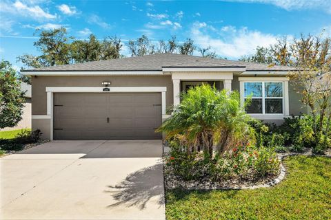 13001 SATIN LILY DRIVE RIVERVIEW FL 33579