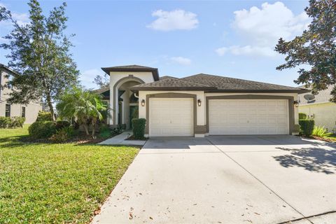 15721 STARLING WATER DRIVE LITHIA FL 33547