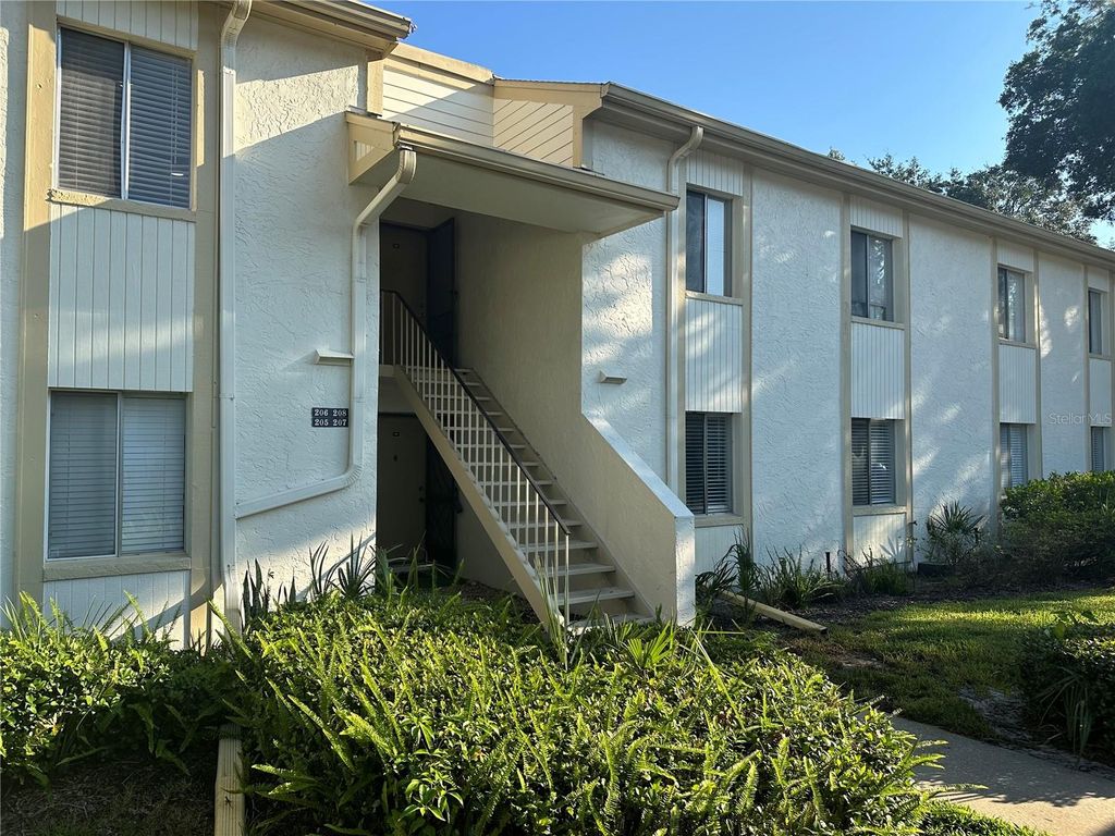 Photo of 207 Palmetto Court, Oldsmar, FL 34677 (MLS # TB8452612)