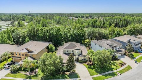 A home in LAND O LAKES