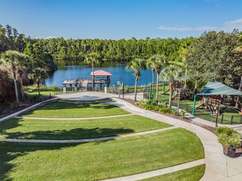 A home in LAND O LAKES