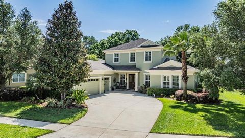 A home in LAND O LAKES