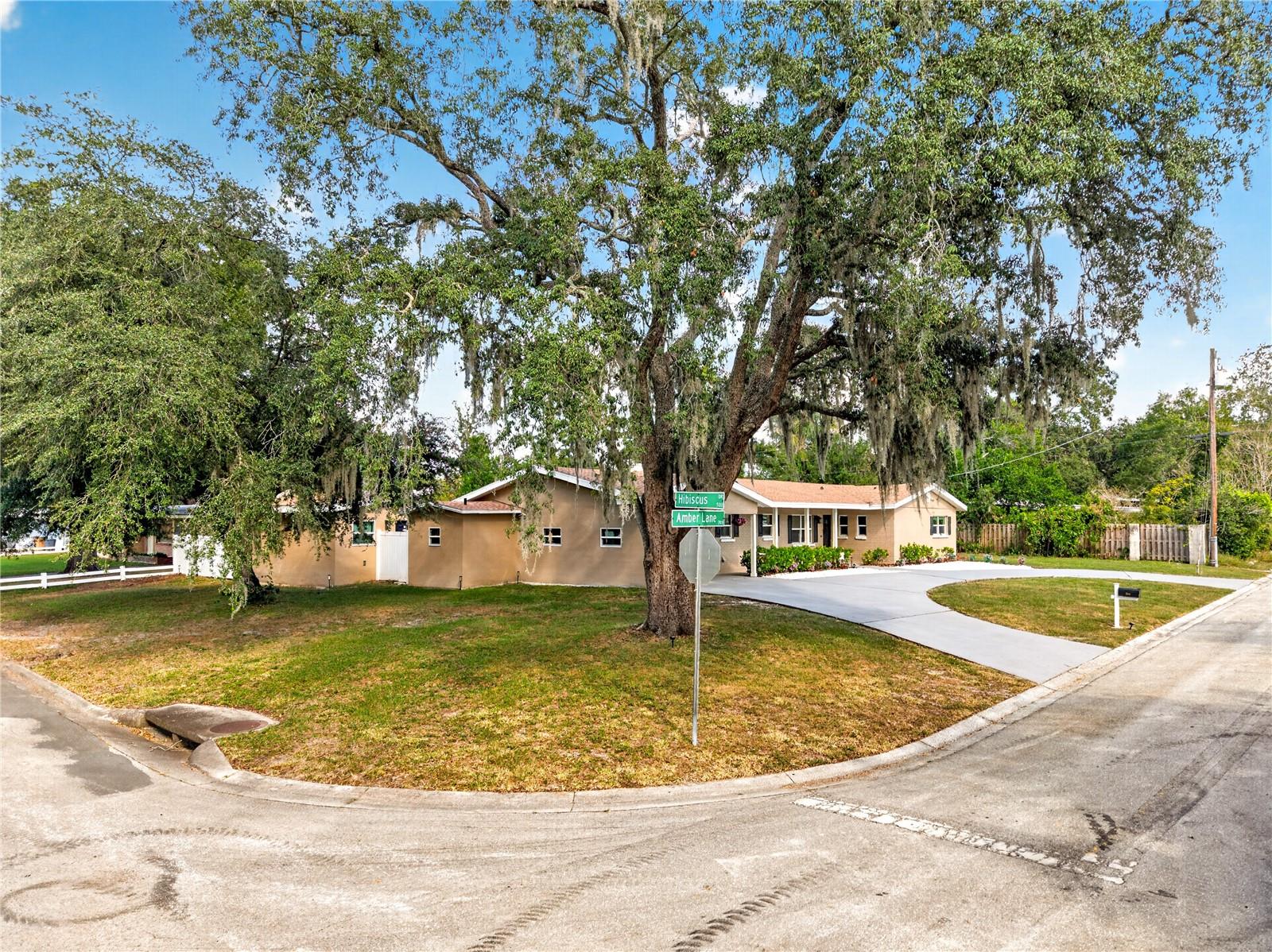 206 AMBER LANE