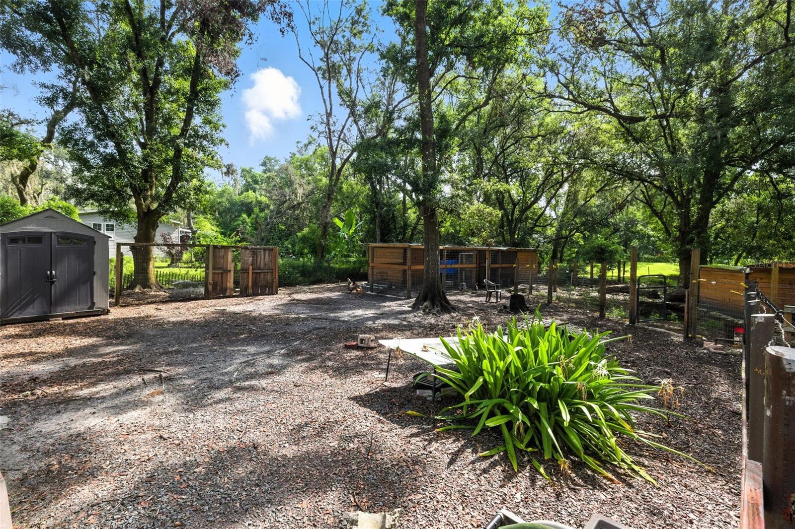 4244 RYALS ROAD