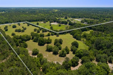 Tiny photo for 11420 NW 110th Avenue, Reddick, FL 32686 (MLS # OM699513)