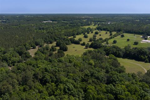 Tiny photo for 11420 NW 110th Avenue, Reddick, FL 32686 (MLS # OM699513)