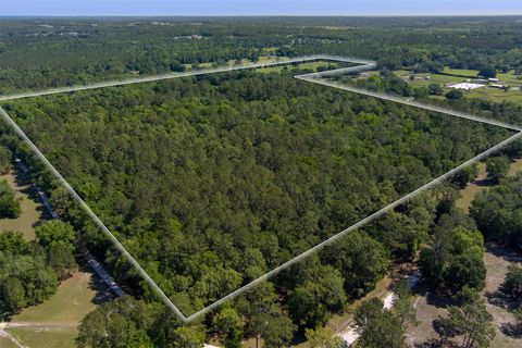 Tiny photo for 11420 NW 110th Avenue, Reddick, FL 32686 (MLS # OM699513)