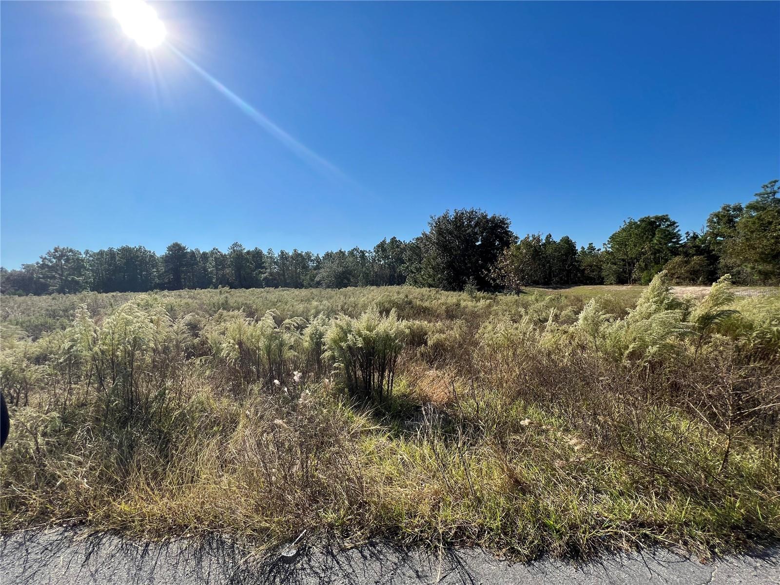 OAK HILLS PLAZA - Land