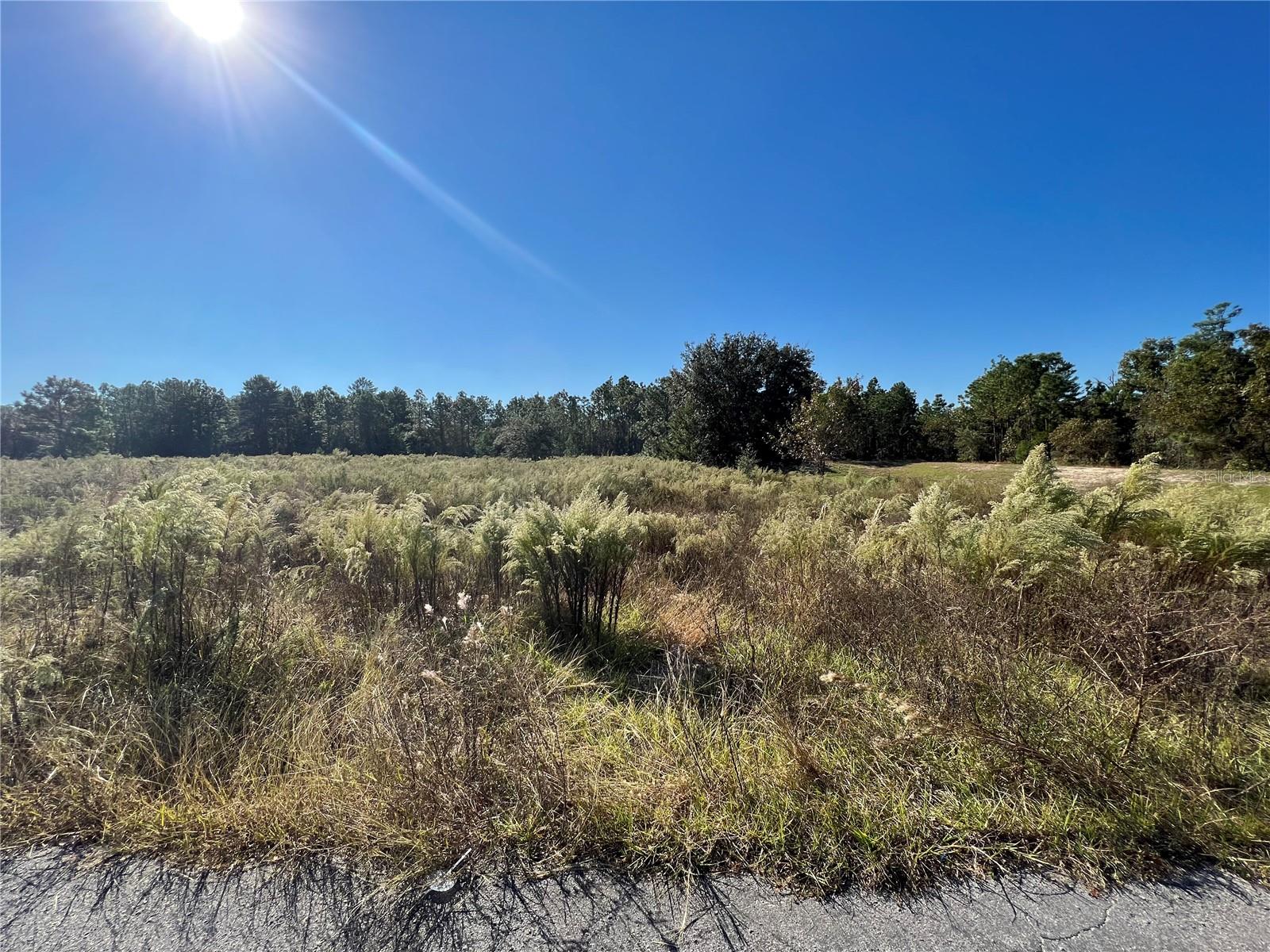 OAK HILLS PLAZA - Land