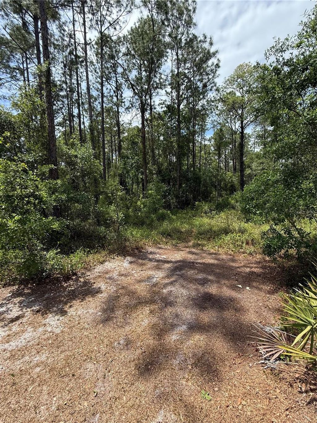 Photo of Tbd NE 156th Lane, Fort Mccoy, FL 32134 (MLS # OM716184)