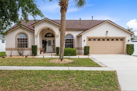 Photo of 3305 Mallard Hill Street, Clermont, FL 34714 (MLS # O6401002)