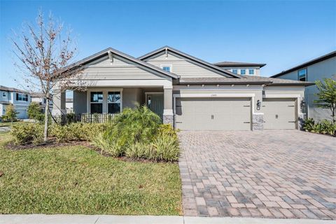 33091 SYCAMORE LEAF DRIVE WESLEY CHAPEL FL 33545