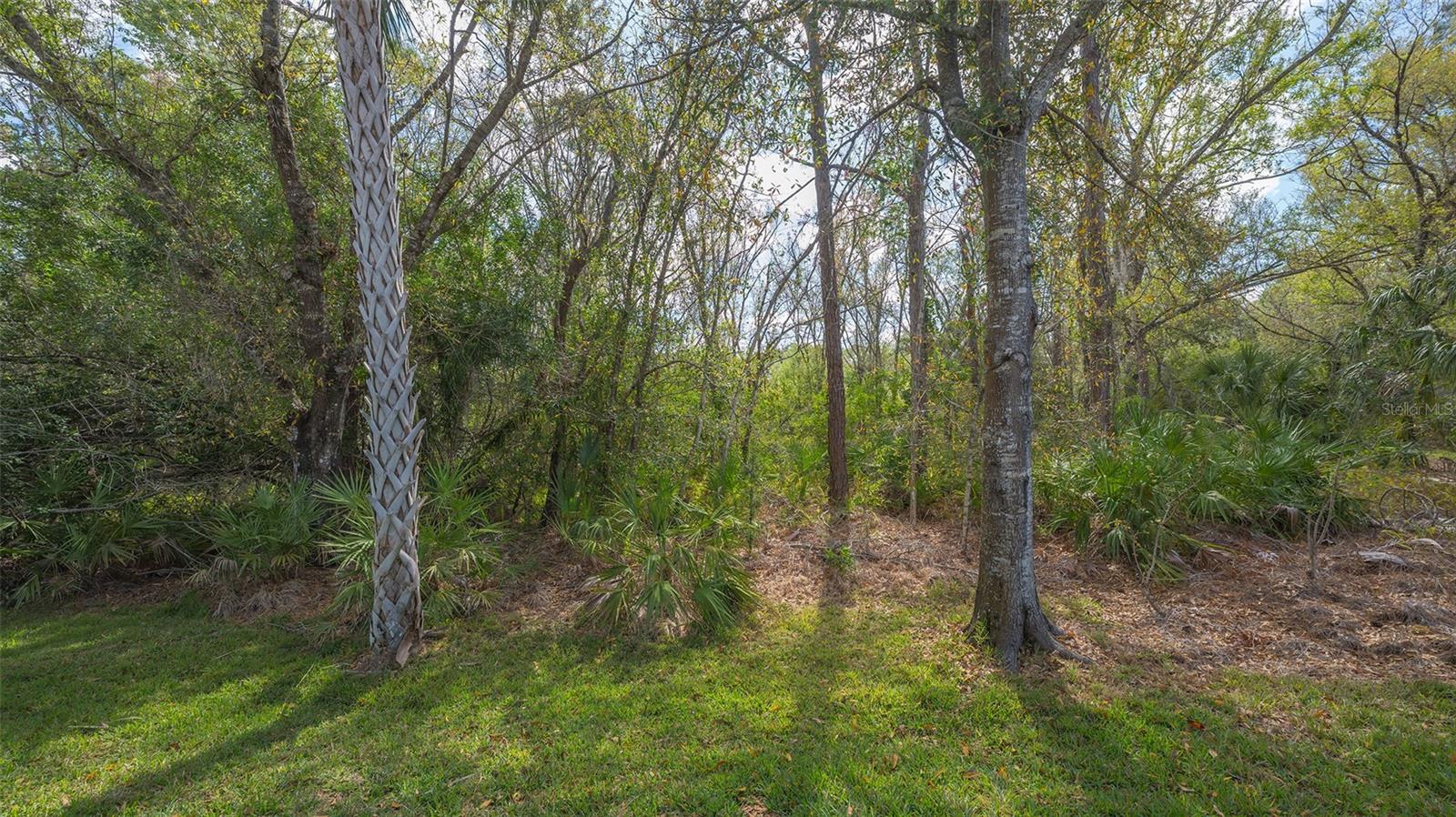 EDGEWATER VILLAGE SUBPHASE B - Residential