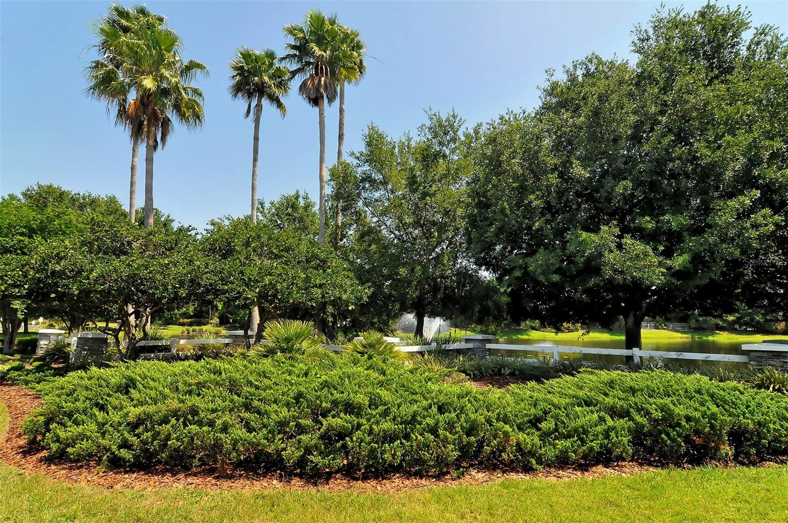 EDGEWATER VILLAGE SUBPHASE B - Residential