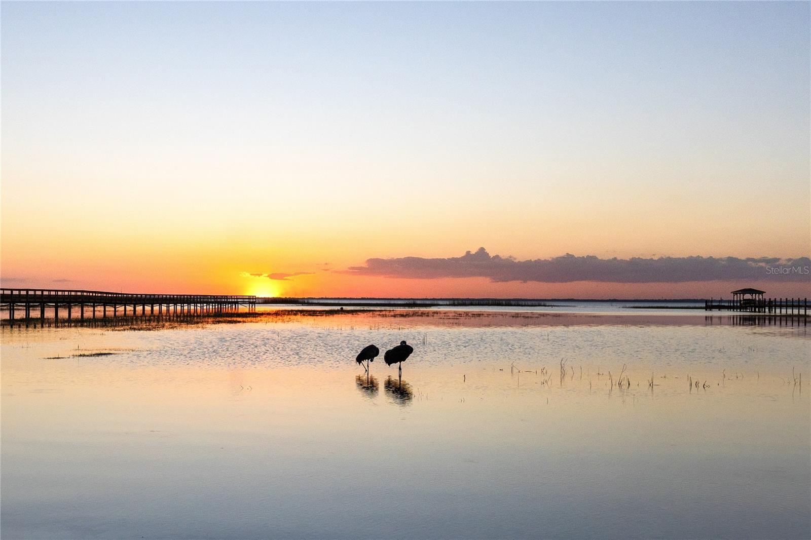 EAST LAKE RESERVE AT NARCOOSSEE - Residential