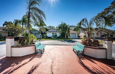 A home in PALM HARBOR