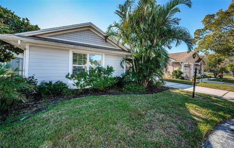 A home in PALM HARBOR