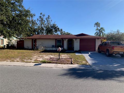 Photo of 11600 Crystal Lake Drive, Port Richey, FL 34668 (MLS # TB8379590)