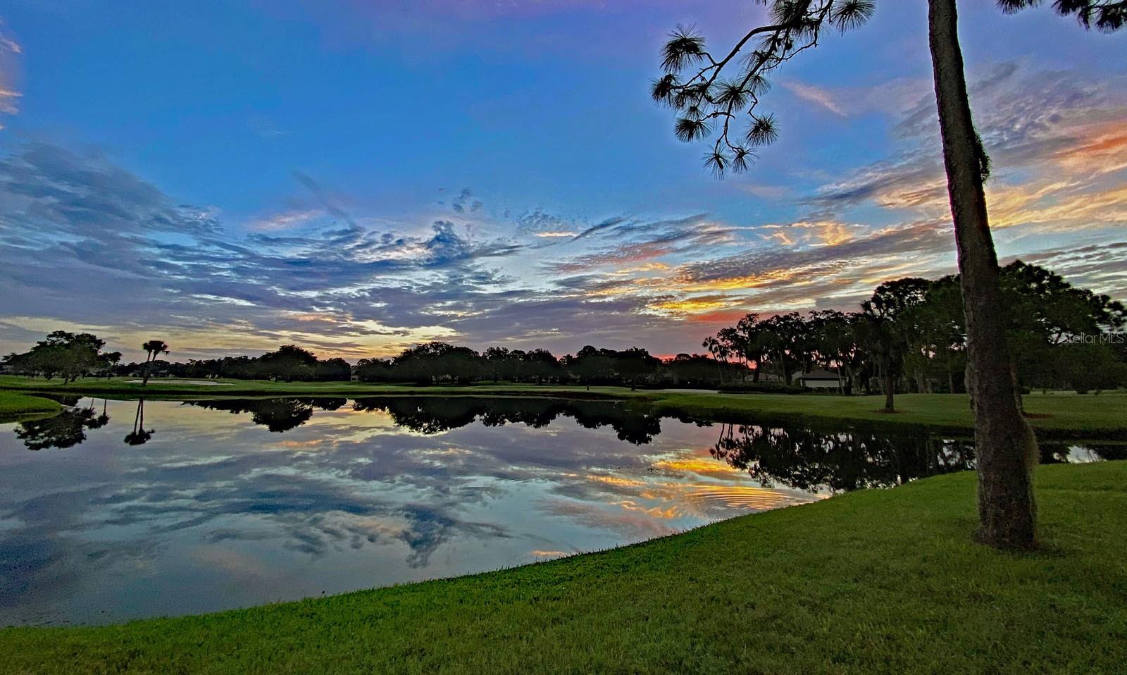 PALM AIRE - Residential