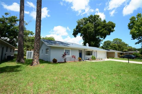 A home in PALM COAST