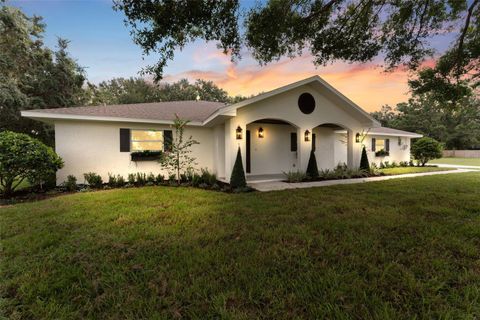 Photo of 10204 Tranquil Lane, Odessa, FL 33556 (MLS # TB8531905)