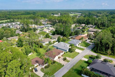 A home in PALM COAST